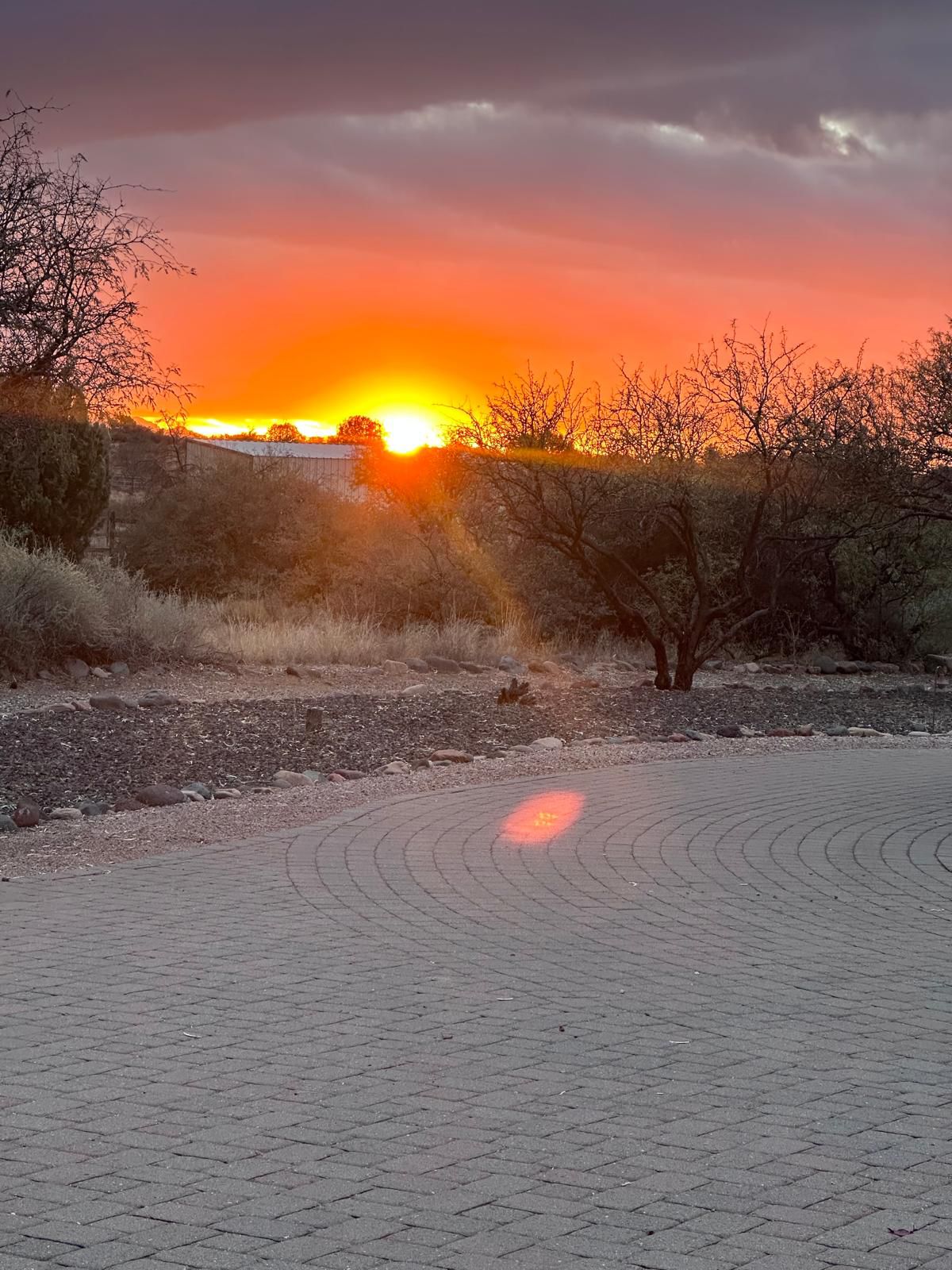 Sunrise at the Amanaia sanctuary